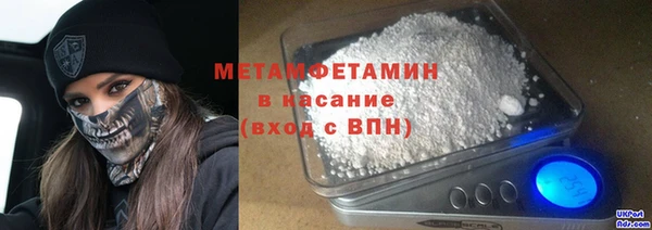 крисы Бородино