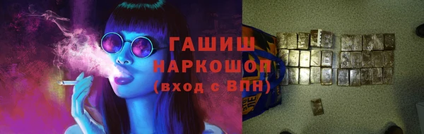 крисы Бородино