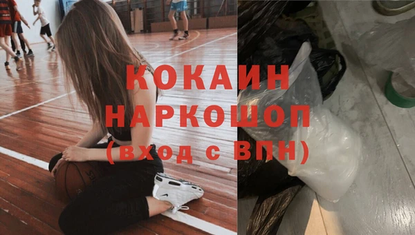крисы Бородино