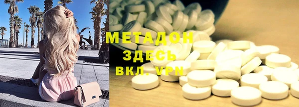 крисы Бородино