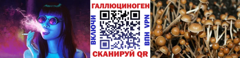 Купить где  Микунь  Галлюциногенные грибы GOLDEN TEACHER 